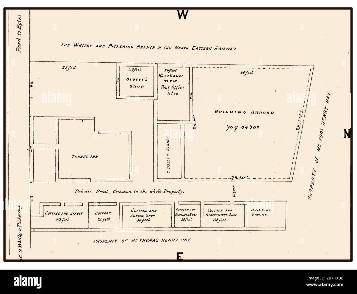 Nobara Kugisakis Age from Mob Psycho 100 Is Irrelevant